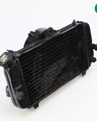 Radiatore acqua YAMAHA TDM