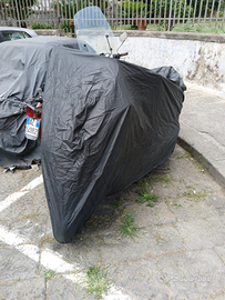 Majesty 400 euro 1000