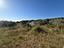 Immagine 13