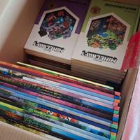 libri e riviste minecraft 