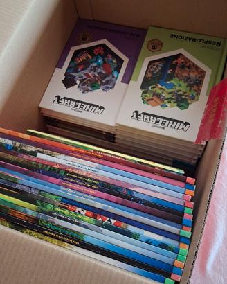 libri e riviste minecraft 