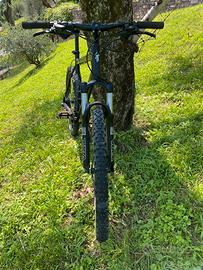 Bici mtb