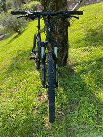 Bici mtb