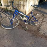 Bici MTB marca GALANT donna/unisex ruota 26"