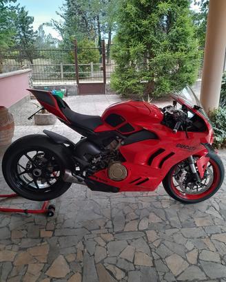 Ducati Panigale V4 2024