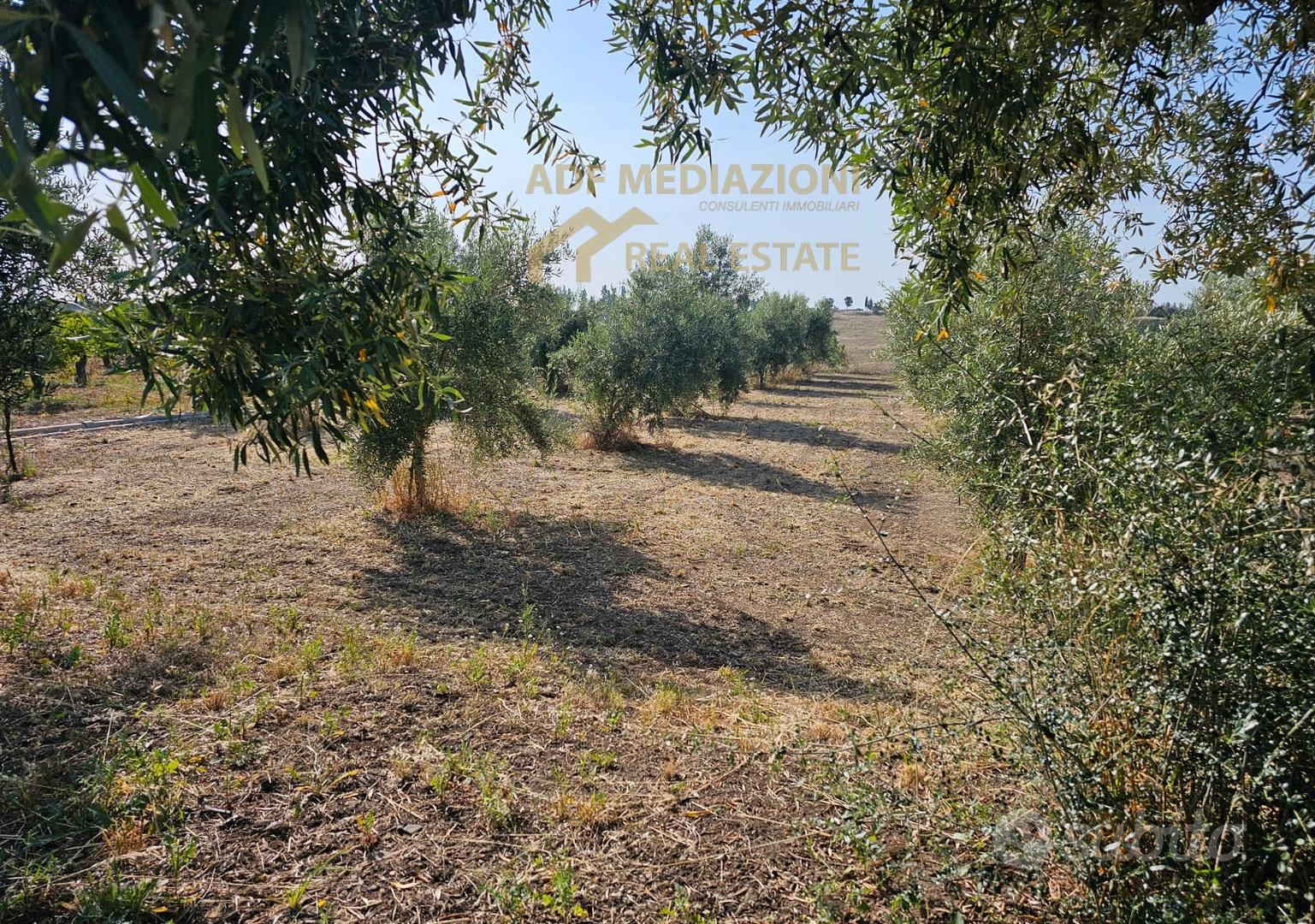 4H.Di Uliveto Con Terreno - Vista 4