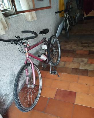 Mountain bike