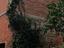 Immagine 7