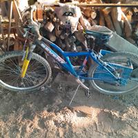 bici MTB Euro 20, numero 2, funzionanti!