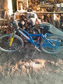 bici MTB Euro 20, numero 2, funzionanti!