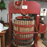 Torchio idraulico con deraspatrice