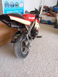Mini motogp 50