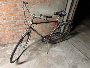 Bicicletta da uomo 28