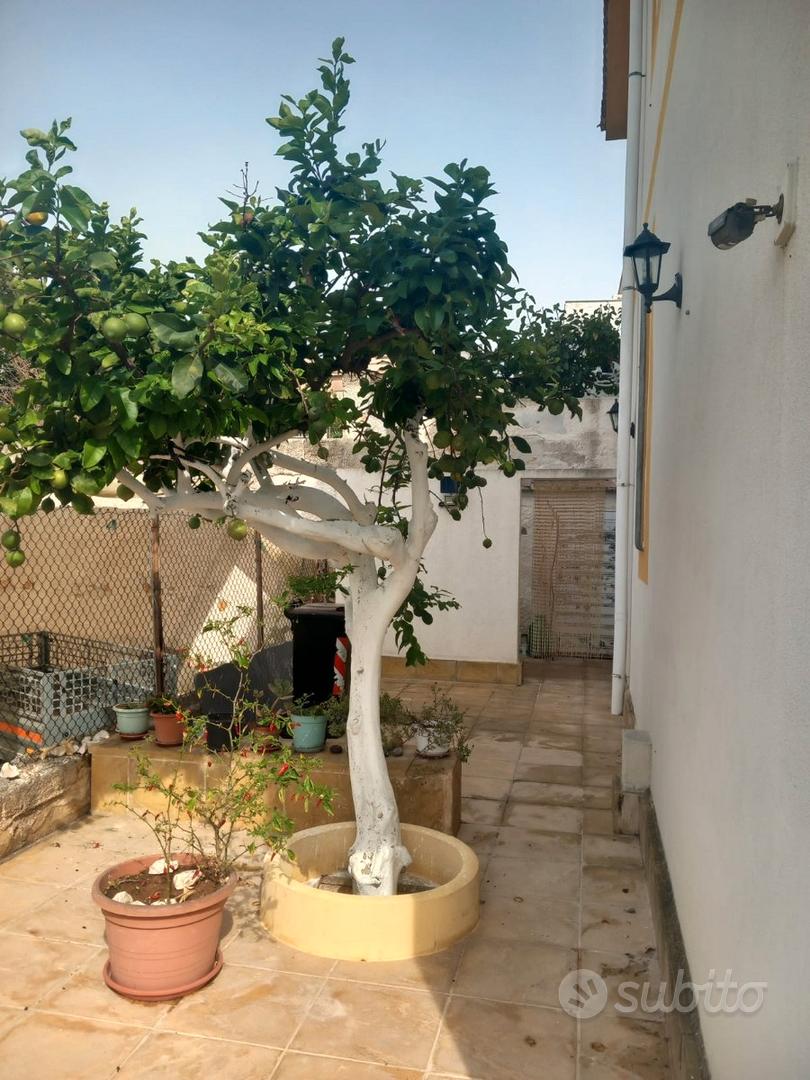 House in Castelvetrano, Contrada Timpone Nero, Triscina - Vista 4