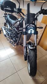 Benelli Leoncino 500 Trail 2022 Accessoriata