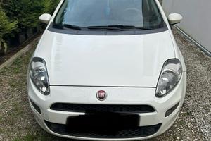 FIAT Punto 1.3 MJT II 75 CV 5 porte Lounge