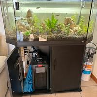 Acquario RIO 180