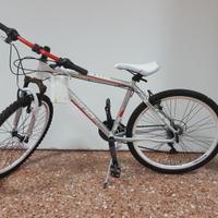 Bicicletta bici regina spark revoshift 21v uomo -