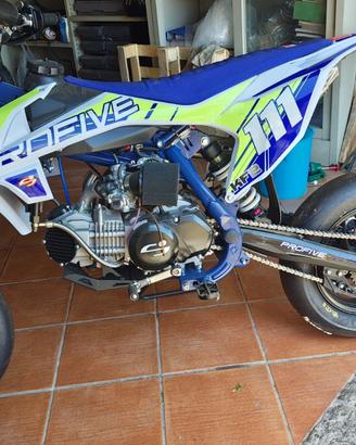 PIT BIKE PROFIVE KF2 150/160cc – 2023 – COME NUOVA