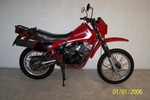 morini camel
