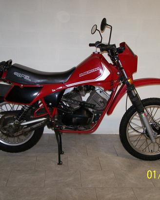 morini camel