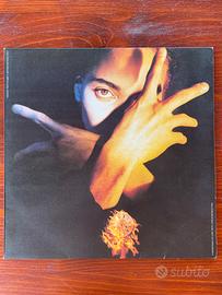 LP Terence Trent D'Arby