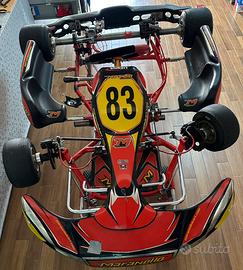 Telaio KART MARANELLO KZ✨💎
