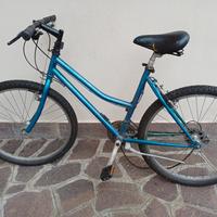 mountan bike da recupero prezzaccio bicicletta