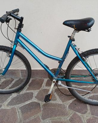 mountan bike da recupero prezzaccio bicicletta