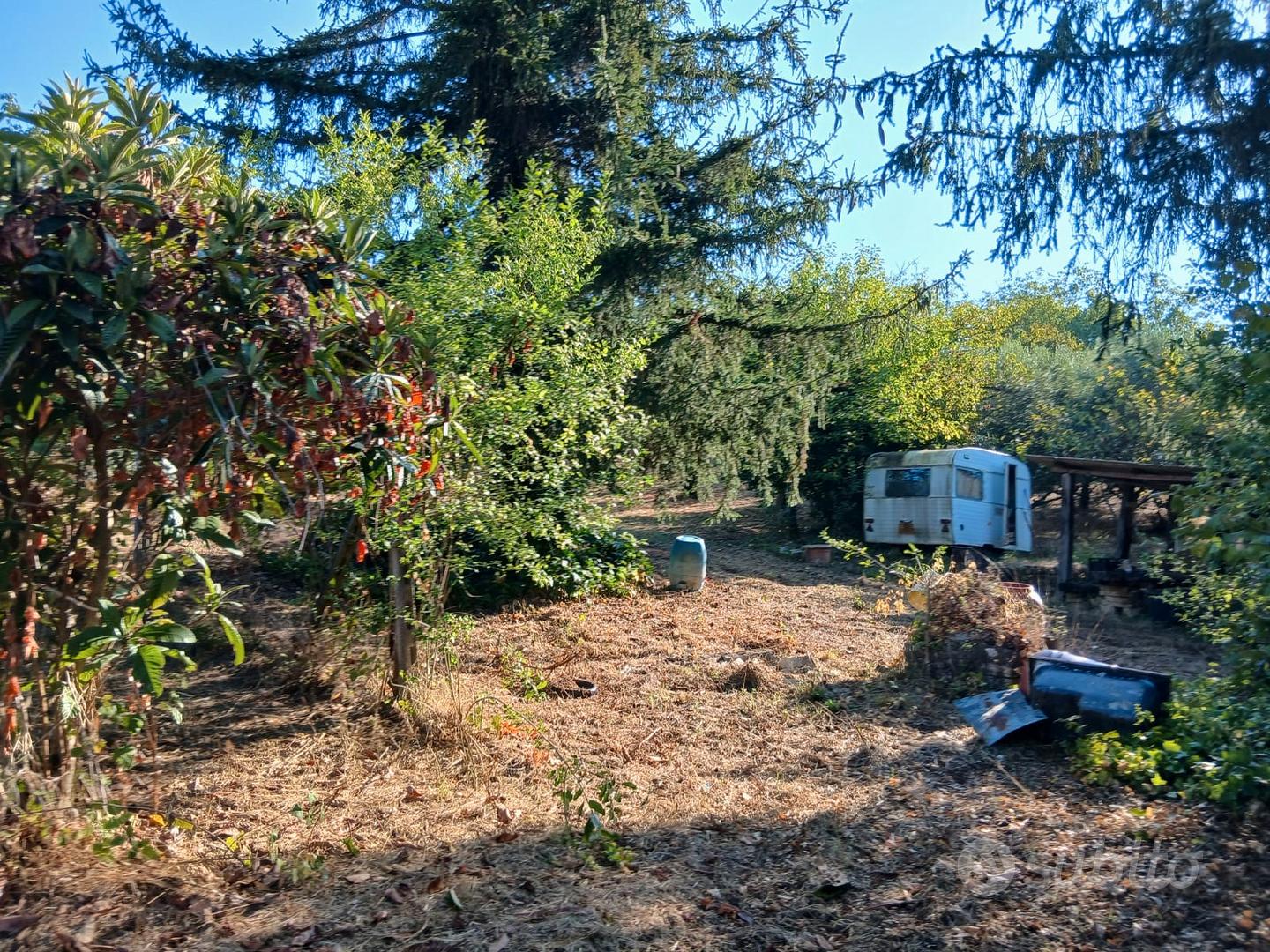 Terreno Agricolo 3000mq Arci - Altro