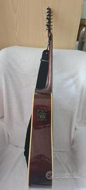 Chitarra acustica elettrificata Cort MR600E con cu