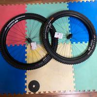 Cerchi carbonio DTSWISS exc 1501 enduro/downhill