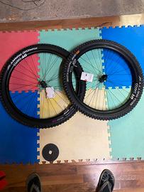 Cerchi carbonio DTSWISS exc 1501 enduro/downhill