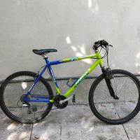 Mountain bike bimbo Kastle