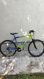 Mountain bike bimbo Kastle