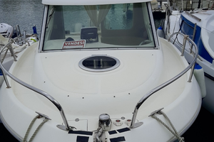 Barca Sessa dorado 22