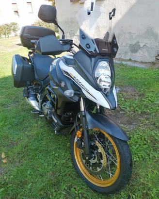 Suzuki v strom