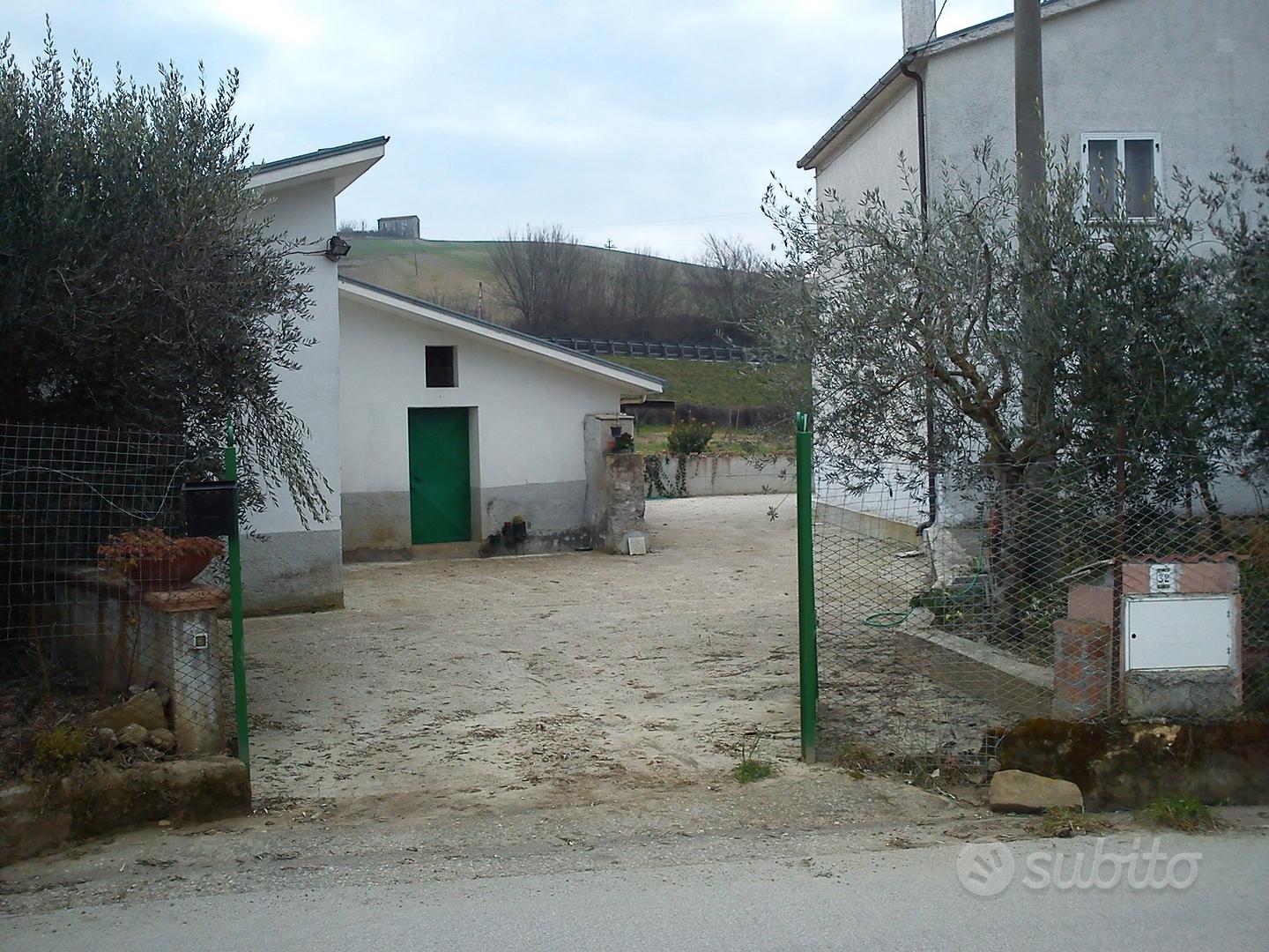 Villetta rustica con oliveto pianeggiante - Vista 3