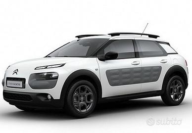 Citroen C4 Cactus 1.6 bluehdi Shine s&s 100cv