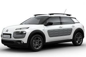 Citroen C4 Cactus 1.6 bluehdi Shine s&s 100cv