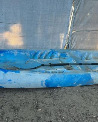 🚣♂️ CANOA 4 POSTI IN VETRORESINA