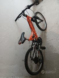 bicicletta 
