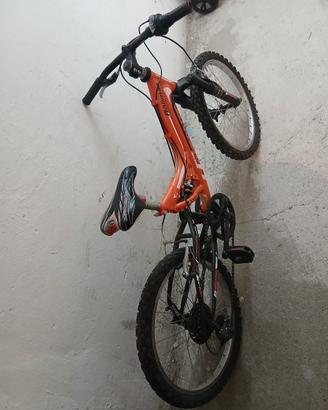 bicicletta 