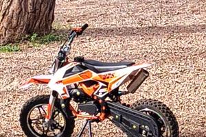 Altro Altro modello - 2025