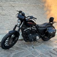 Harley 883 (DEPOTENZIATA)