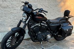 Harley 883 (DEPOTENZIATA)