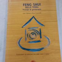 Feng sui della terra principi di geoterapia 