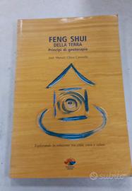 Feng sui della terra principi di geoterapia 
