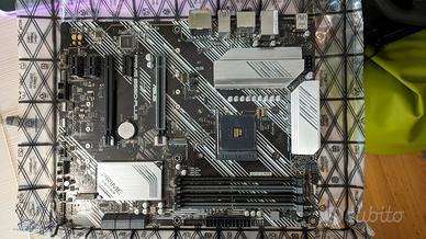 Asus prime b550 plus AMD