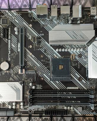 Asus prime b550 plus AMD